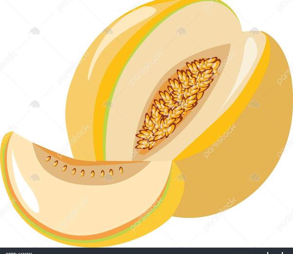 عکس طالبی نقاشی