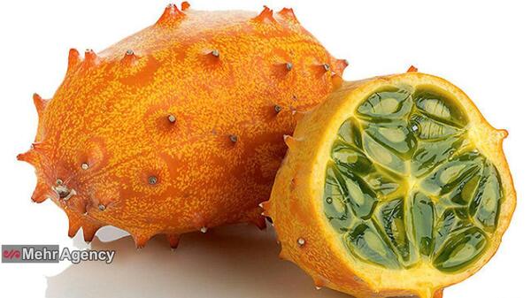 عکس طالبی کارتونی