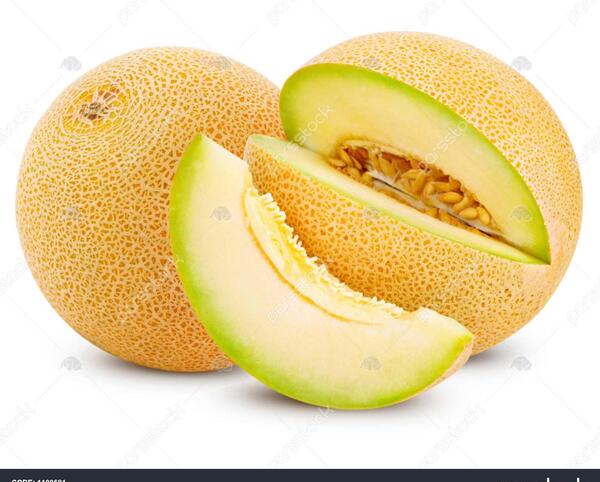 عکس طالبی کارتونی