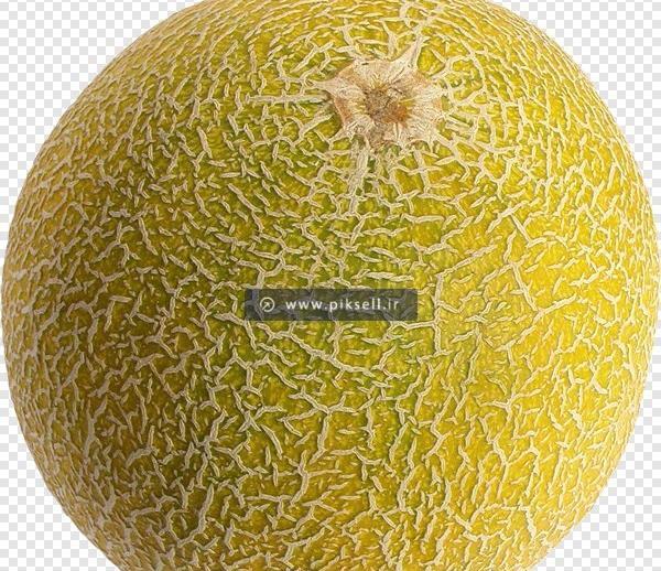 عکس طالبی کارتونی