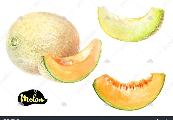 عکس طالبی کارتونی