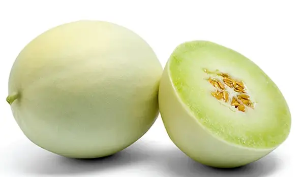 عکس انواع خربزه و طالبی