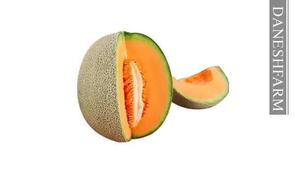 عکس انواع خربزه و طالبی