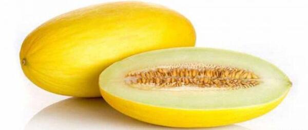 عکس انواع خربزه و طالبی