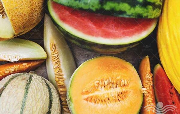 عکس انواع خربزه و طالبی