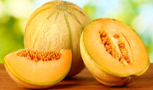 عکس انواع خربزه و طالبی