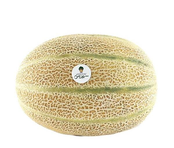 عکس طالبی میوه