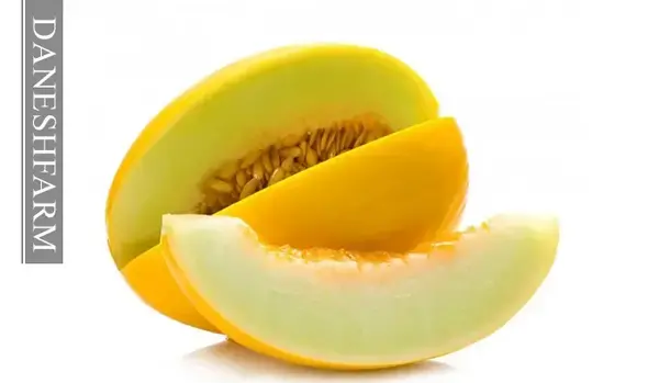 عکس طالبی میوه