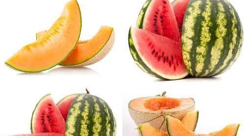 عکس طالبی میوه