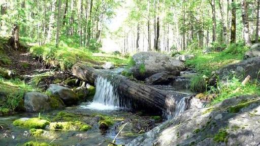 عکس از منظره طبیعت واقعی