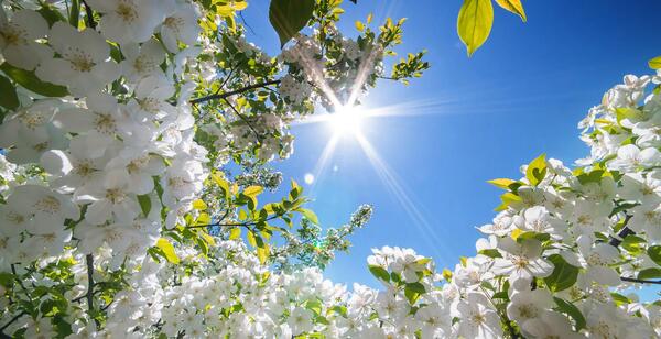 عکس های واقعی طبیعت