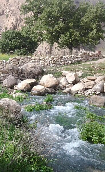 عکس های واقعی طبیعت