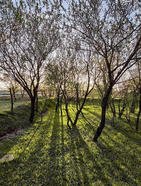 عکسهای واقعی از طبیعت ایران