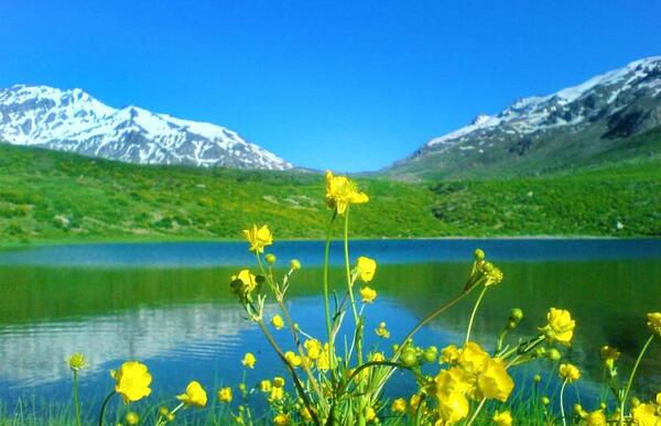 عکسهای واقعی از طبیعت ایران