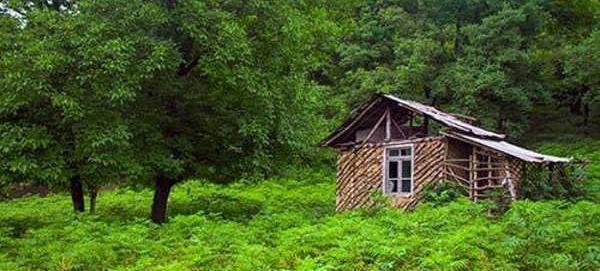 عکسهای واقعی از طبیعت ایران