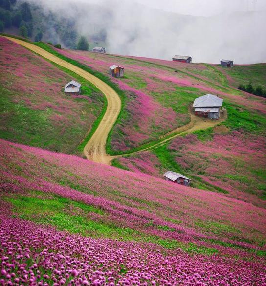 عکسهای واقعی از طبیعت ایران