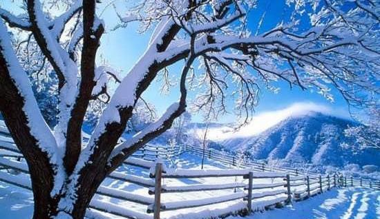 عکس طبیعت واقعی زمستانی