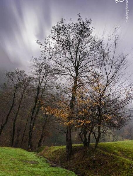 عکس طبیعت واقعی زمستانی