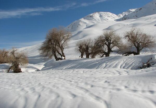 عکس طبیعت واقعی زمستانی