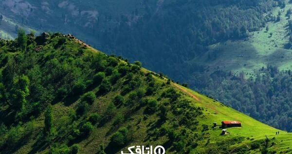 عکس از طبیعت واقعی شمال