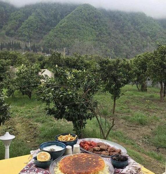 عکس از طبیعت واقعی شمال