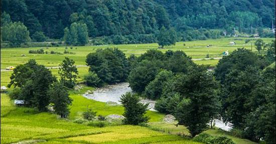 عکس از طبیعت واقعی شمال
