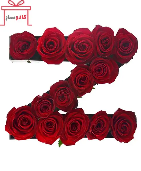 فانتزی عکس حروف انگلیسی z