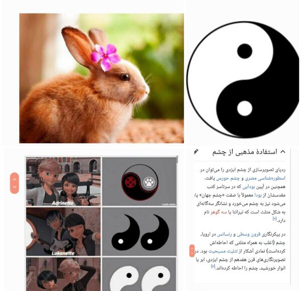 عکس معجزه گر طاووس در دختر کفشدوزکی