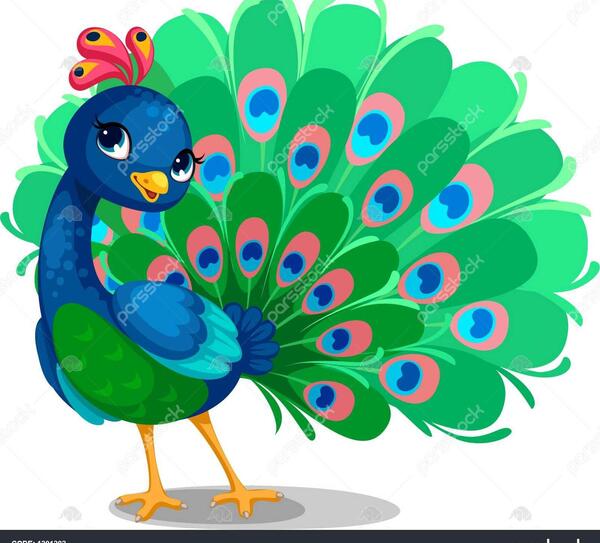 عکس نقاشی پرنده طاووس