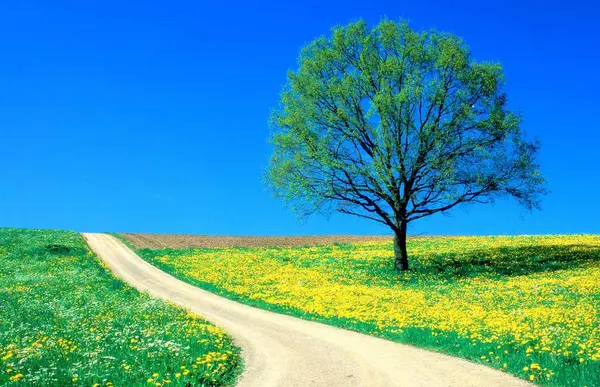 عکس دختر تابستانی فانتزی