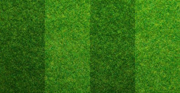 عکس چمن فوتبال برای تصویر زمینه