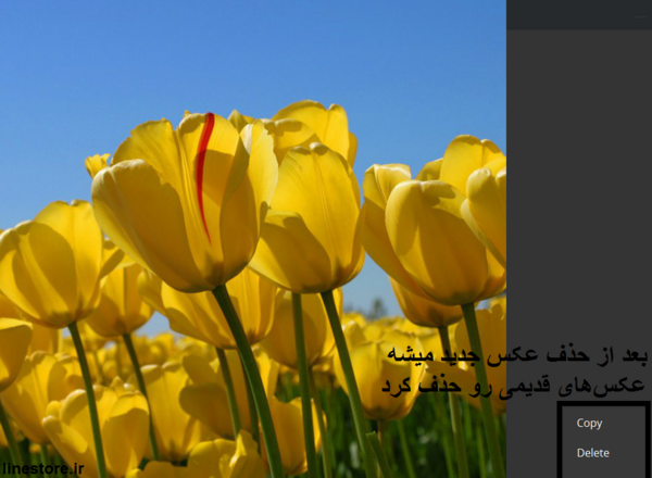 عکس قدیمی پروفایل تلگرام