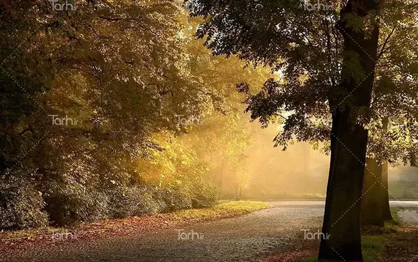 عکس از غروب افتاب طبیعی