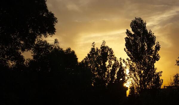 عکس از غروب افتاب طبیعی
