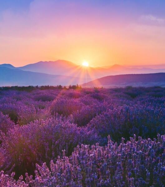 عکس غروب خورشید در کوهستان