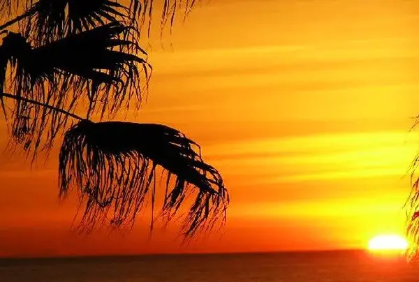 عکس پروفایل از غروب خورشید