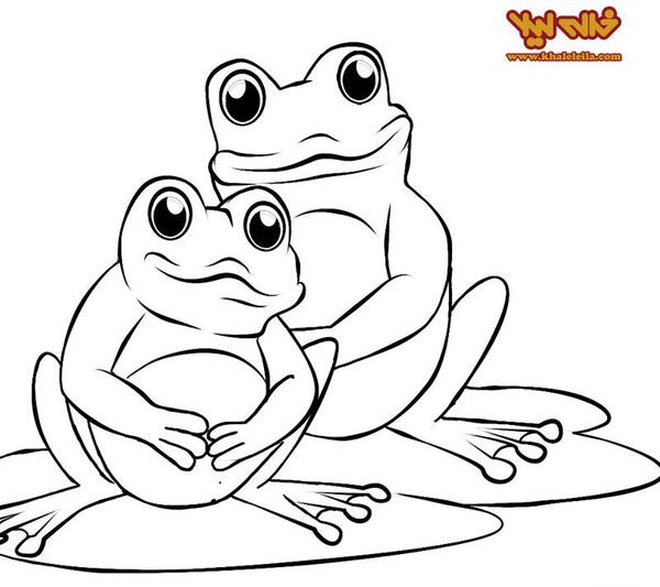 عکس قورباغه نقاشی