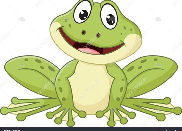 عکس قورباغه زیبا