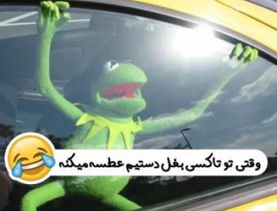 عکس قورباغه کارتونی برای پروفایل