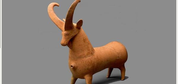 دانلود عکس قوچ کوهی