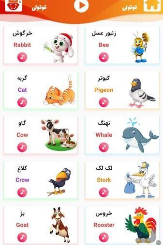 عکس قوقولی بچه