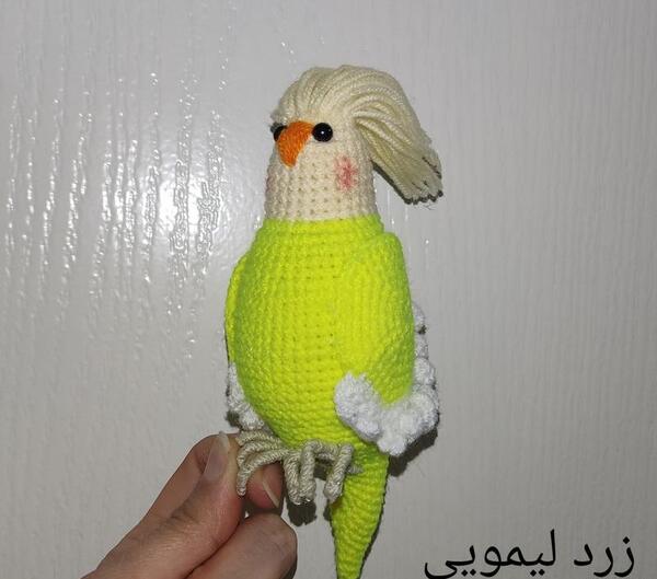 عکس از عروس هلندی آلبینو