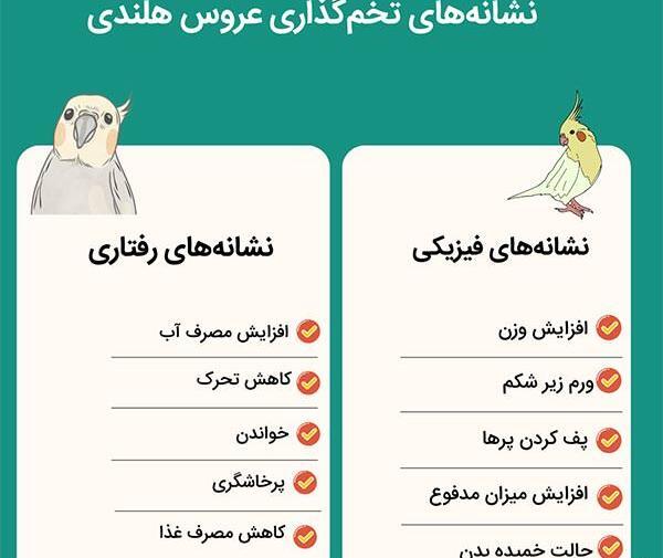 تخم گذاری عکس عروس هلندی حامله