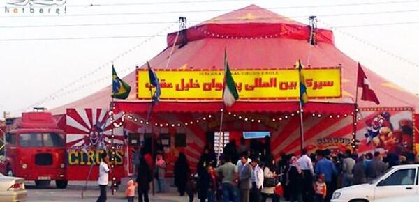 عکس خلیل عقاب که فیل بلند کرده