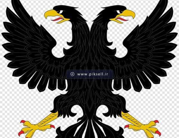 فیلترشکن عکس عقاب