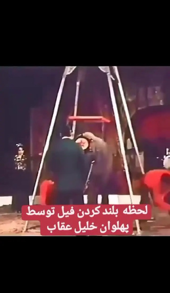 عکس خلیل عقاب با فیل