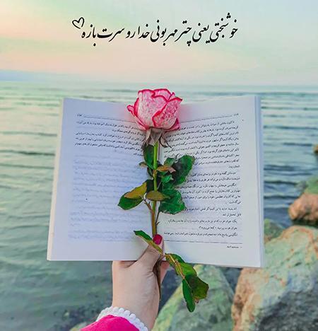 عکس گل عاشقی جدید
