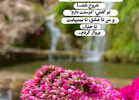 عکس گل عاشقی جدید