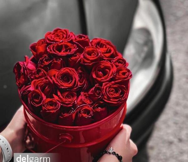 عکس گل عاشقی جدید
