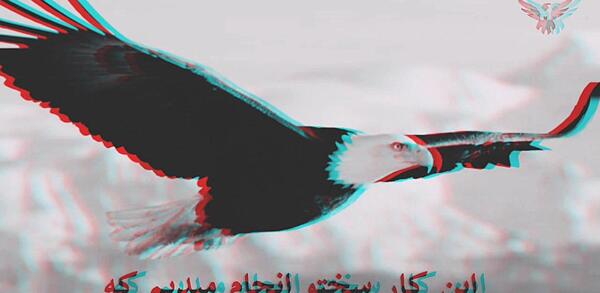 عکس عقاب صفحه گوشی